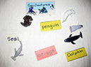 Sea Creatures